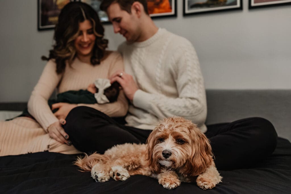 Couple sits on their bed with their dog during an in-home newborn photography session in Bethesda, Maryland.